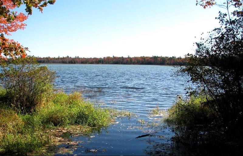 Beachfront Hotel Houghton Lake Alam Semulajadi gambar